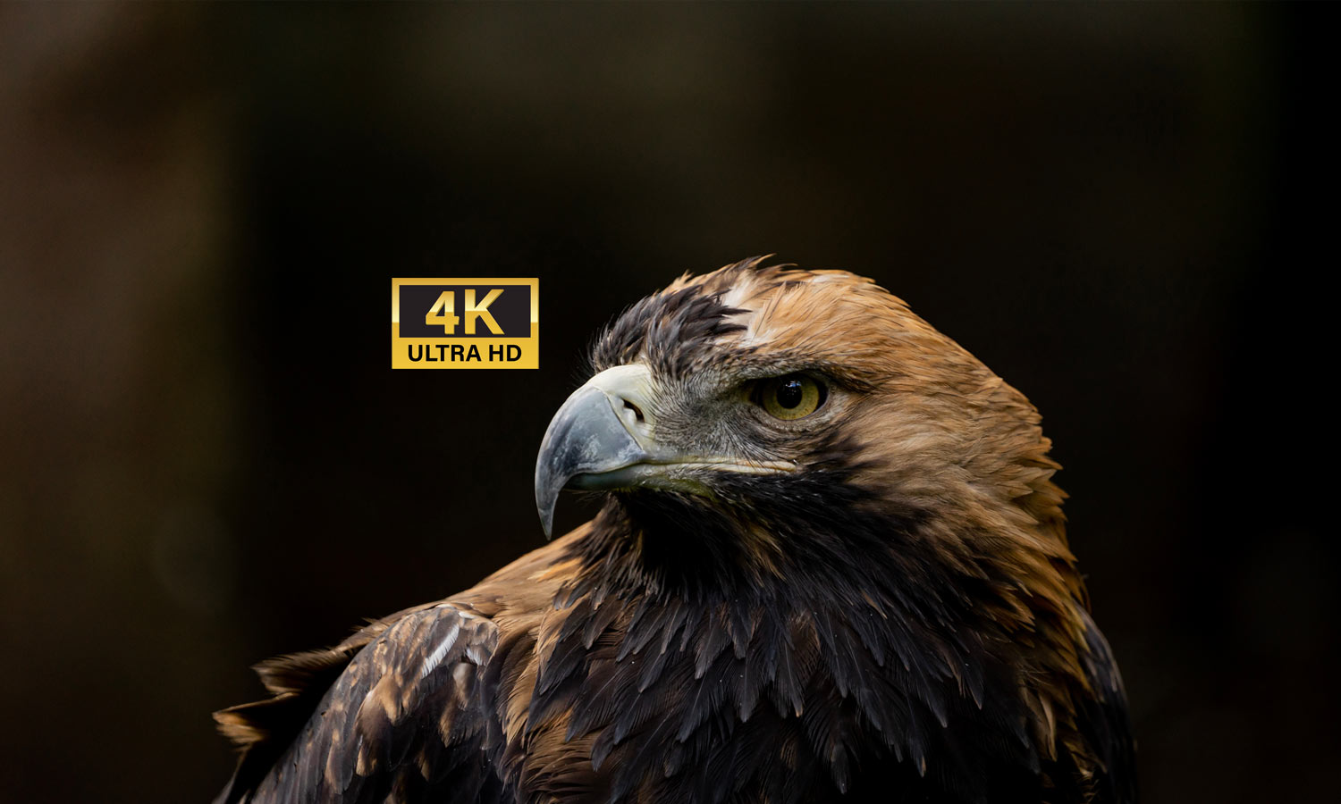 4k kenwood dash cams
