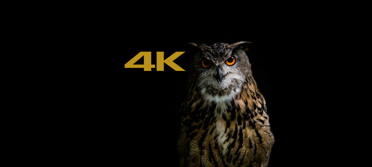 KENWOOD DRV-A601W 4K Ultra HD dash cam